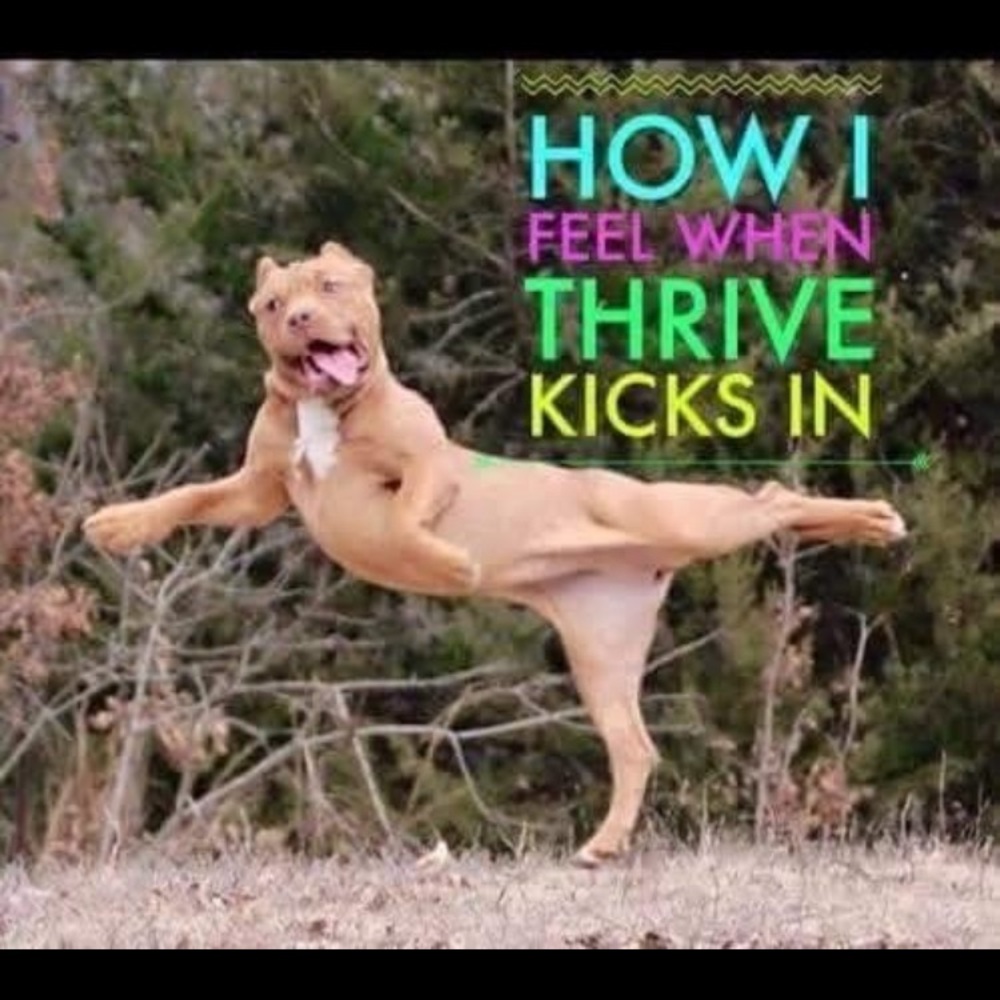 Thrive
